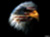 Avatar of Jack146