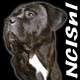 Avatar of NCISnl