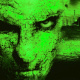 Avatar of nutcrackr