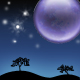 Avatar of SaphireMoon