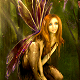 Avatar of Donna48
