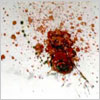 Avatar of cpoore1