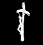Avatar of DrJeffreyLloyd