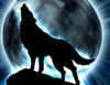 Avatar of Ninja_Ziva