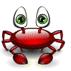 Avatar of buglet66