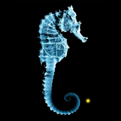 Avatar of teaveefreak
