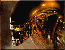 Avatar of hostilelifeform