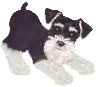 Avatar of Katey1289