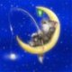Avatar of wilfeli