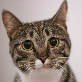 Avatar of DBizTV