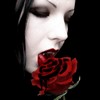 Avatar of 29dwn