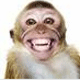 Avatar of Carnus