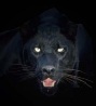Avatar of MayTanner