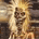Avatar of Magus59