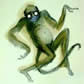 Avatar of TuMulTusX